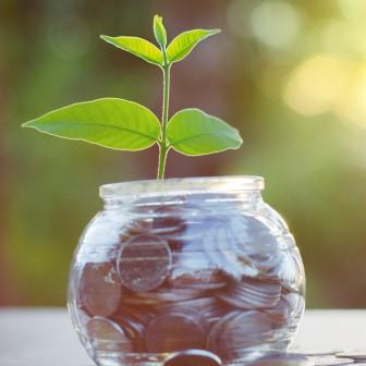 Spende ASingkham 123RF 336x336